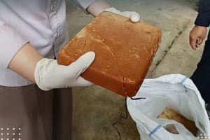 Gula Kelapa Lokal Tembus Pasar Dunia, Ekspor Perdana Lewat PLBN Entikong Capai Puluhan Juta