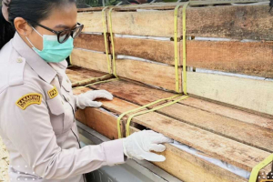 Ekspor di PLBN Jagoi Babang Meningkat, Karantina Catat Pengiriman 9,8 Juta Kilogram