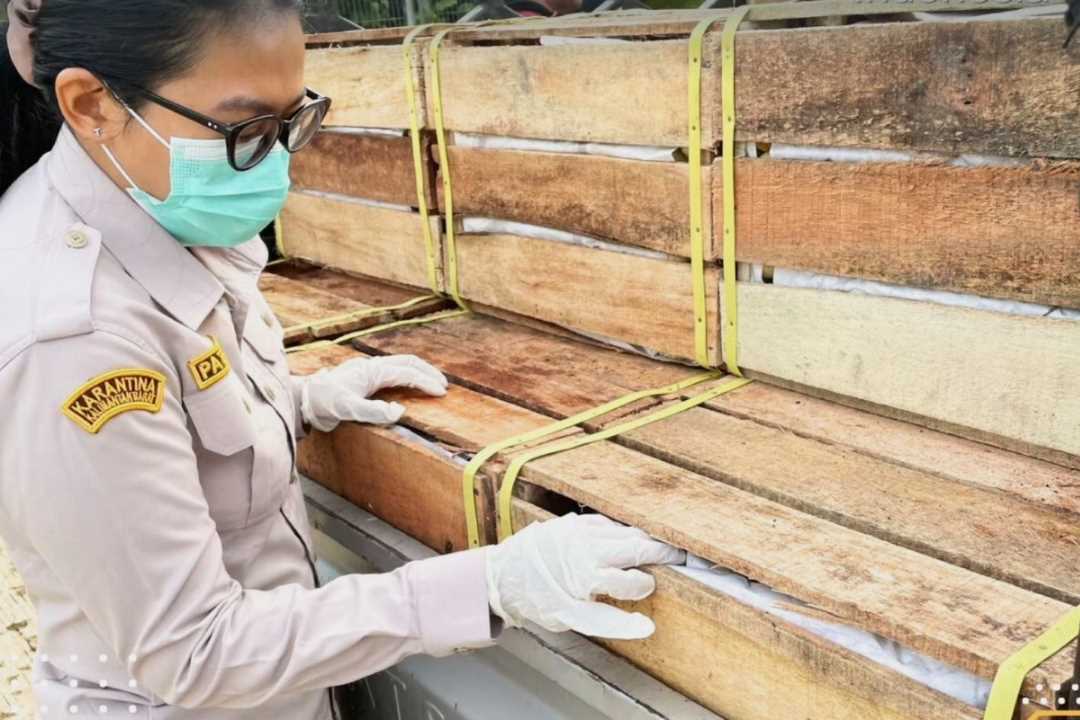 Ekspor di PLBN Jagoi Babang Meningkat, Karantina Catat Pengiriman 9,8 Juta Kilogram