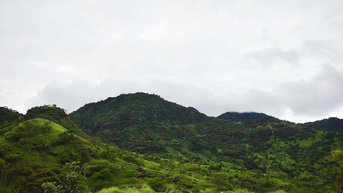 Prabowo Gas Pol Penertiban SDA, 28 Perusahaan Kehilangan Izin