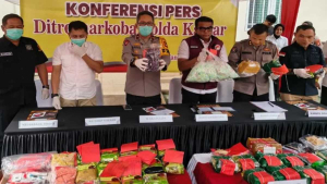 Jaringan Narkoba Besar Terbongkar, Polda Kalbar Musnahkan 12 Kg Sabu