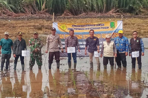 Sinergi TNI dan Petani Selakau: Pelda Yosep Komitmen Kawal Cetak Sawah Rakyat Demi Swasembada Pangan