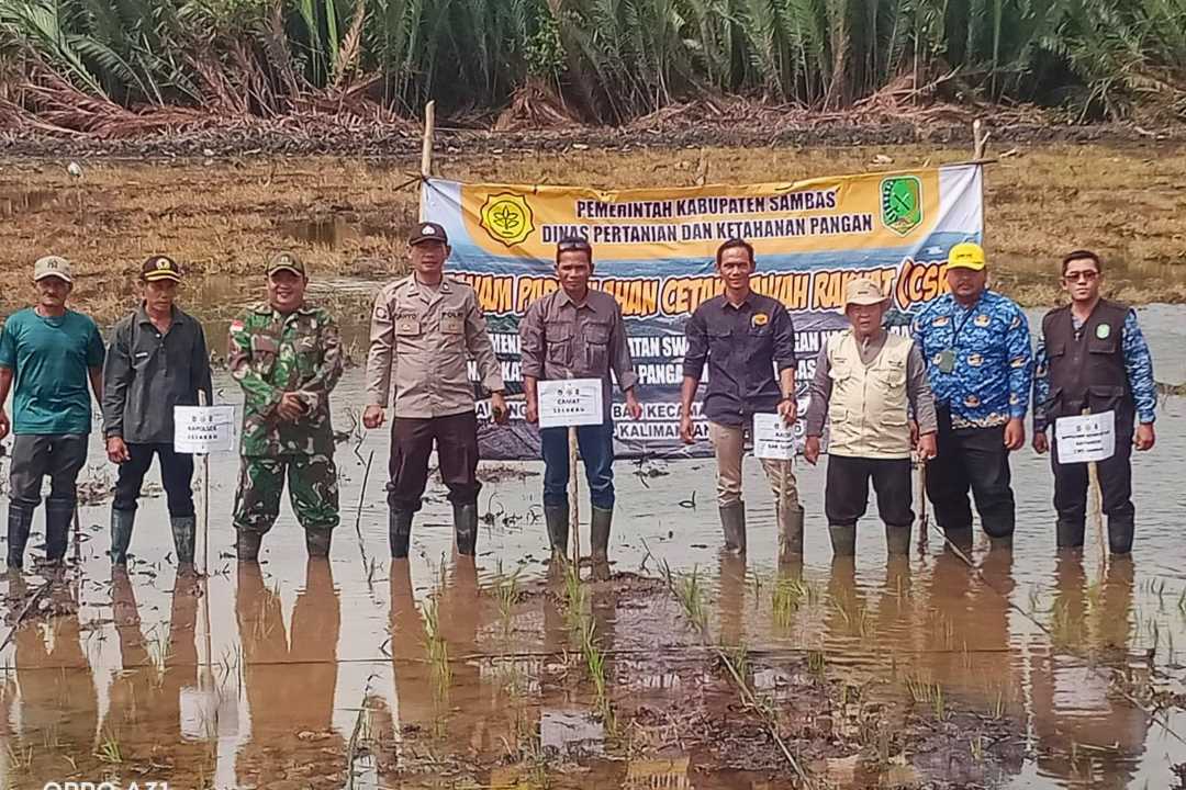 Sinergi TNI dan Petani Selakau: Pelda Yosep Komitmen Kawal Cetak Sawah Rakyat Demi Swasembada Pangan