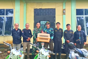 Trenggiling dari Warga Dilepasliarkan di Cagar Alam Gunung Nyiut Bengkayang