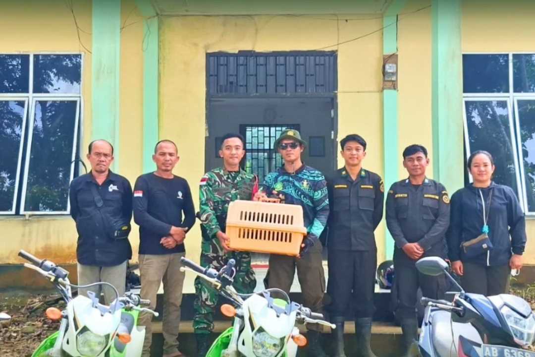 Trenggiling dari Warga Dilepasliarkan di Cagar Alam Gunung Nyiut Bengkayang