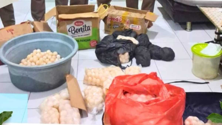 Karantina Kalbar Gagalkan Penyelundupan Telur Penyu dan Daging Satwa Liar di Pelabuhan Sintete